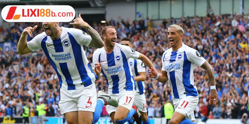 Nhận định Brighton ngày 20/5/2025